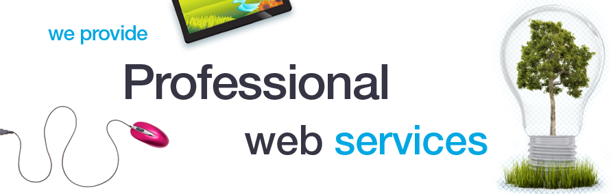 We provide professional web services